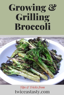 How to Harvest Broccolini: Tips and Techniques.